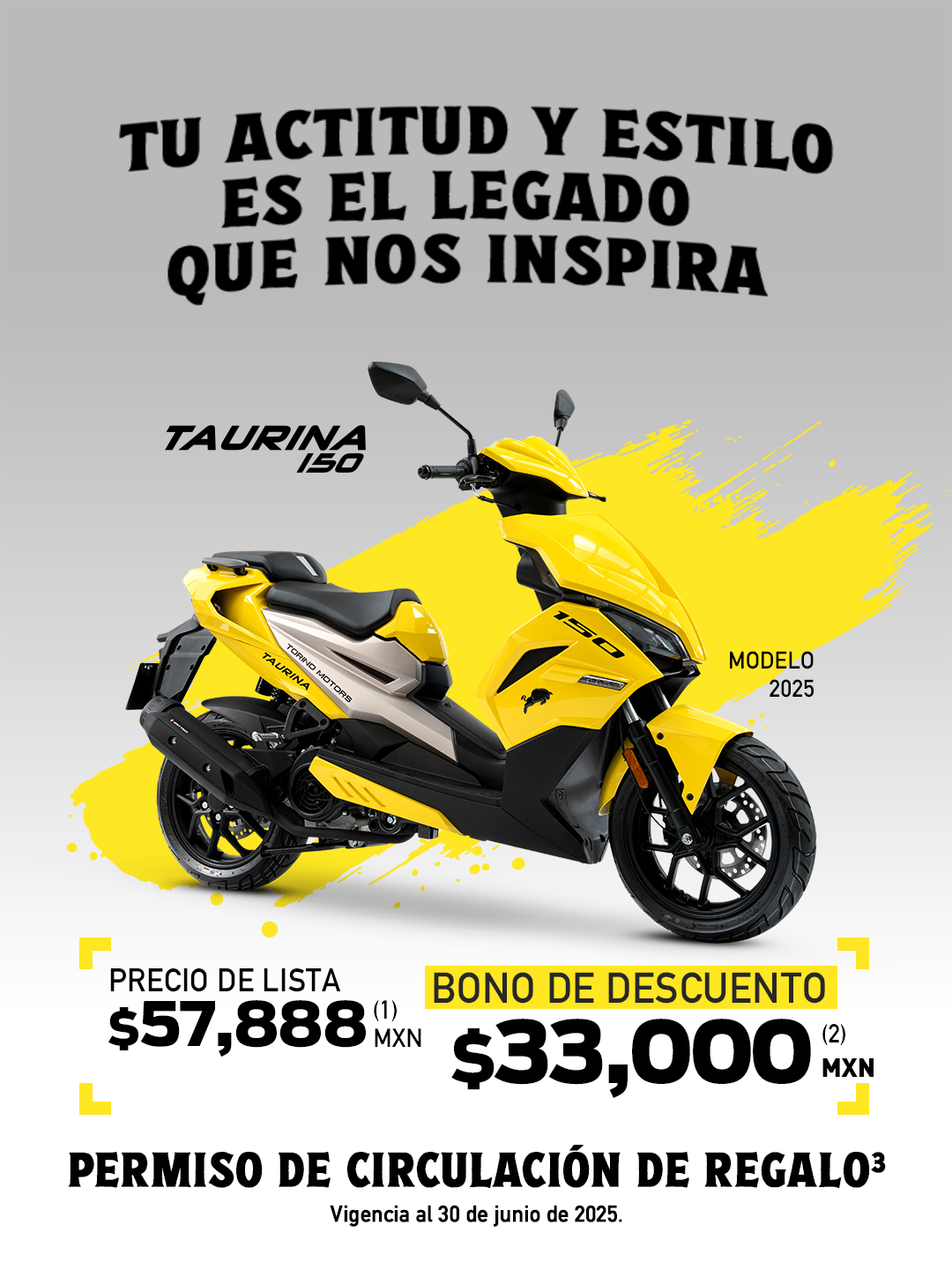 Accesorios Torino Motors
