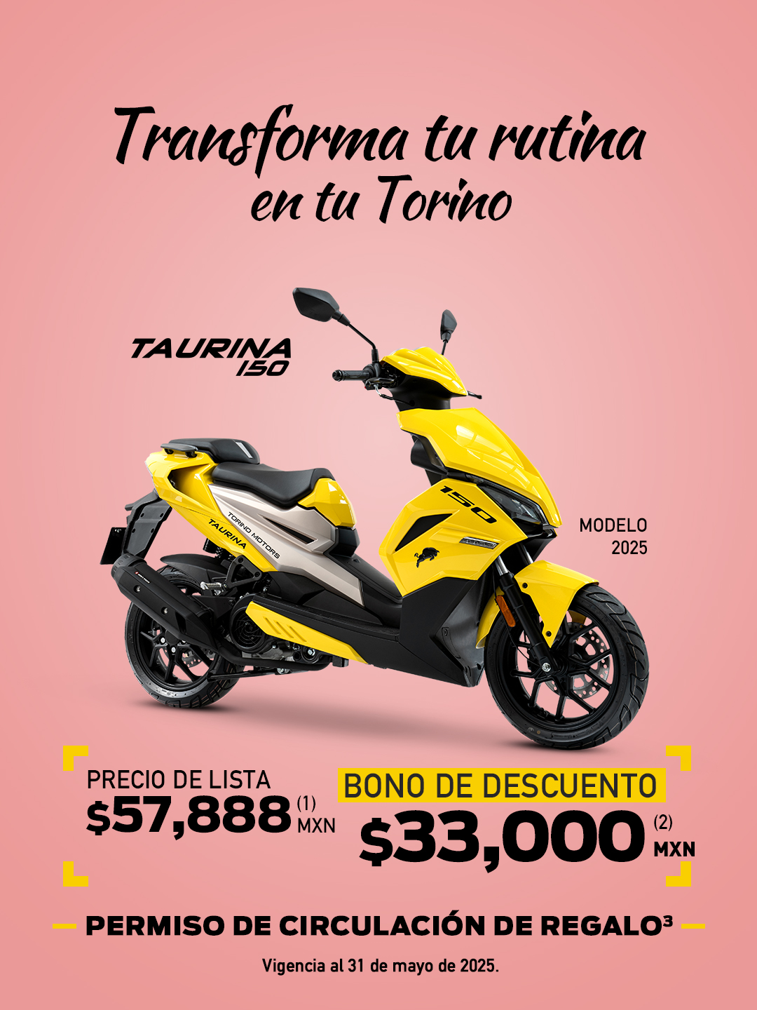 Accesorios Torino Motors